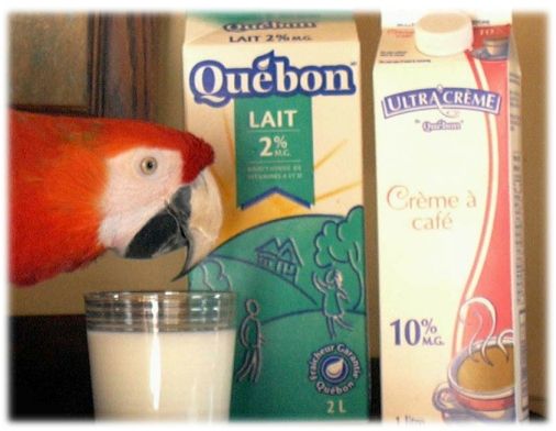 lait (2)