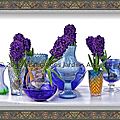 Blue shades hyacinth