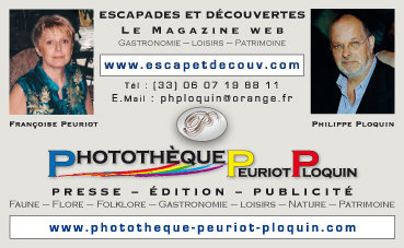 CARTE_de_VISITE_MAGAZINE_WEB et PHOTOTHEQUE