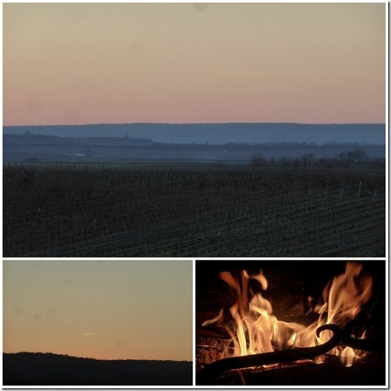vignes le 9 décembre 20202