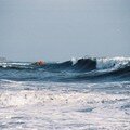 Deux jours de vent très fort qui halent le Sud-Est ...