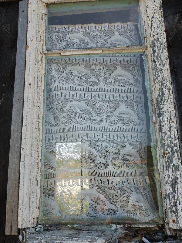 P1180556