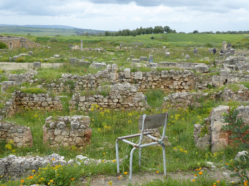 Volubilis (64)