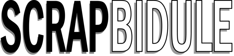 LOGO scrapbidule