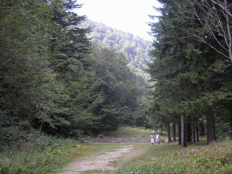 Path along river - Cheia Transylvania