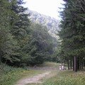 Path along river - Cheia Transylvania