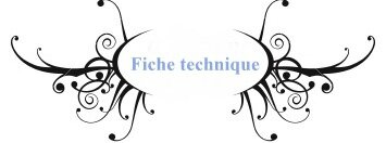 Fiche Technique