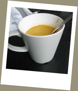 soupnik