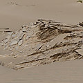 P1190761