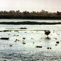 Les rives du Nil au fil de la croisière