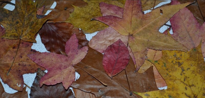 2014-11-23_231204