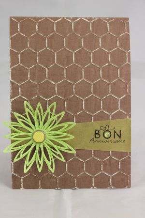 carte Virginie anniversaire (1)