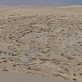 P1190745
