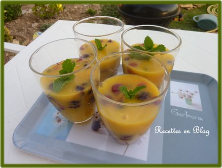 soupe_abricots_mangues_fruits_rouges3