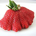 Oh la belle fraise ! (64)