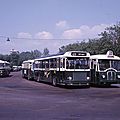 Il y 50 ans, la naissance de l'autobus standard