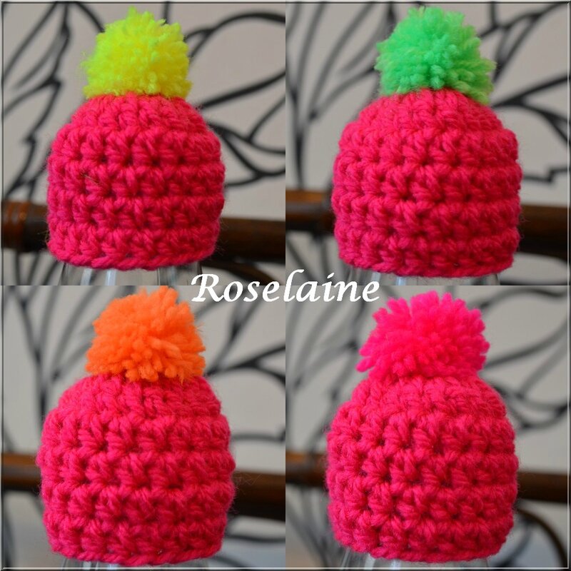Roselaine 50 Bonnet Innocent 2015