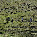 _IGP7416