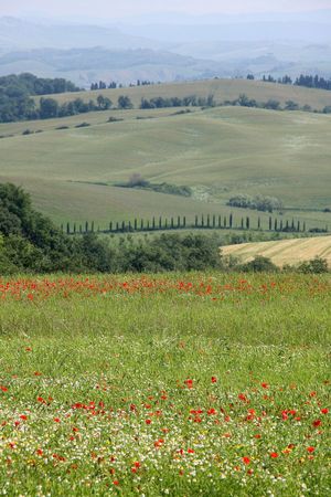 Toscane Juin 2013 - 08