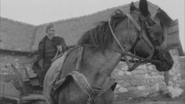 cheval de turin 2