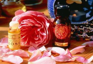 rose_ouverture_reference