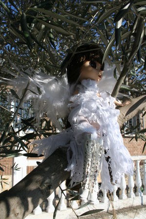 pullip_ala