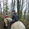 Balade à cheval dans la forêt P1080284