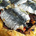 tarte feuilletée aux sardines fraîches
