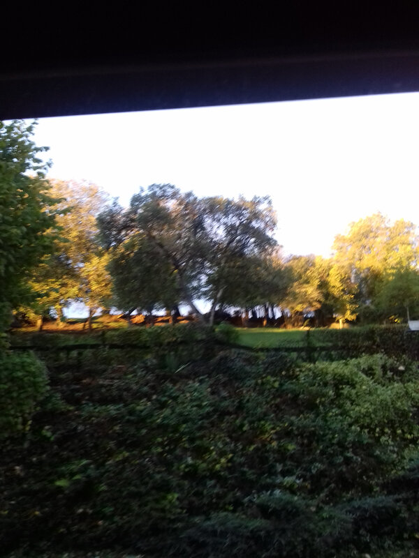 20191012_081659