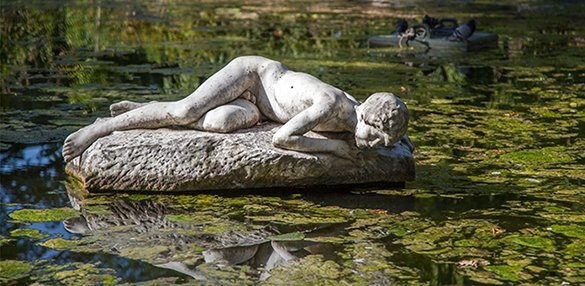 Narcisse 3
