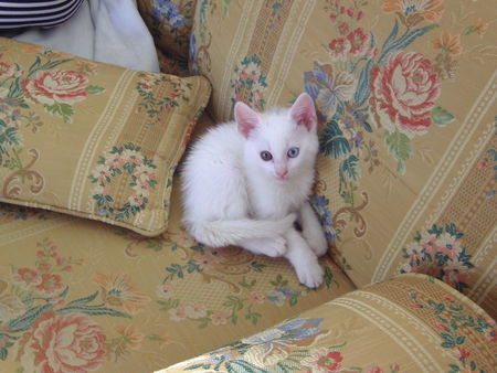 BILD2597
