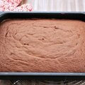 Gâteau de base au chocolat pour un moule rectangle de format a4