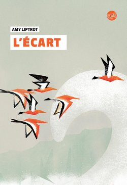 lecart-de-amy-liptrot