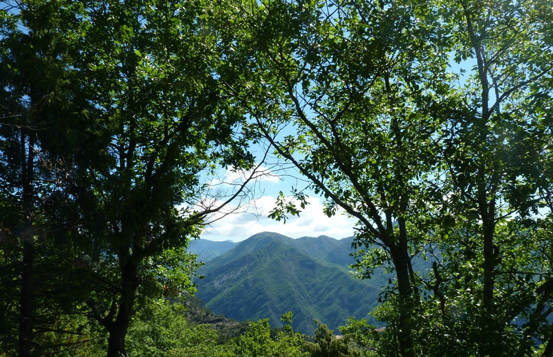 P1100118 (2)