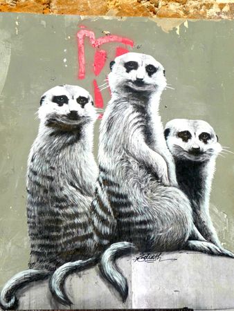 Ermines