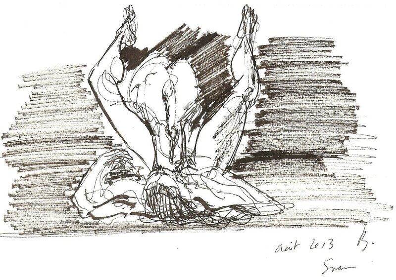 cygne attaque 2