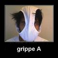 Grippe a/h1n1