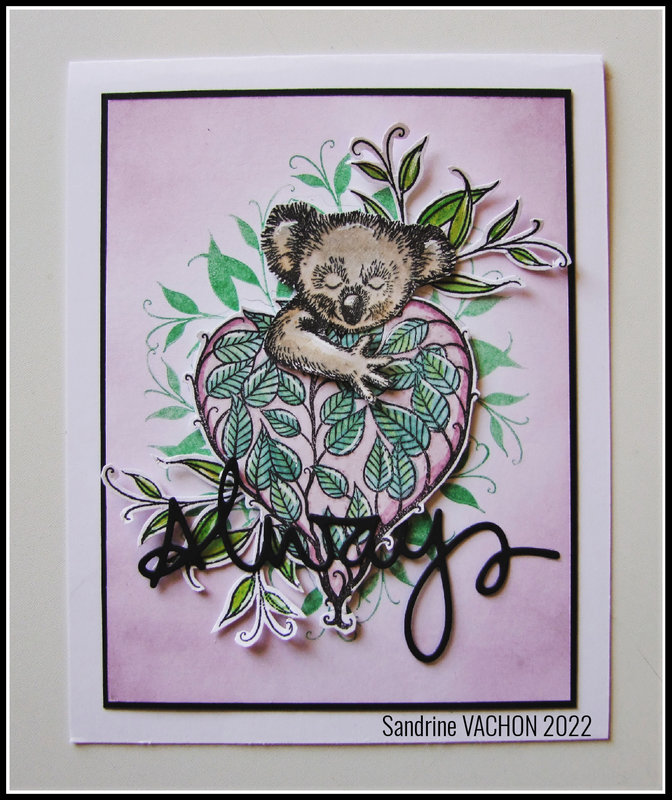 Carte koala 4 (1)