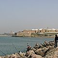 P1010879