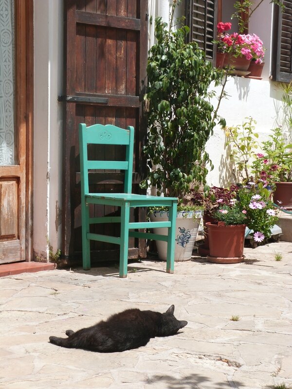 Ibiza farniente 4