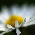IMGP8264
