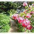 Giverny15