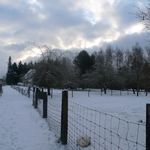 Virton_et_saint_mard_sous_la_neige__101_