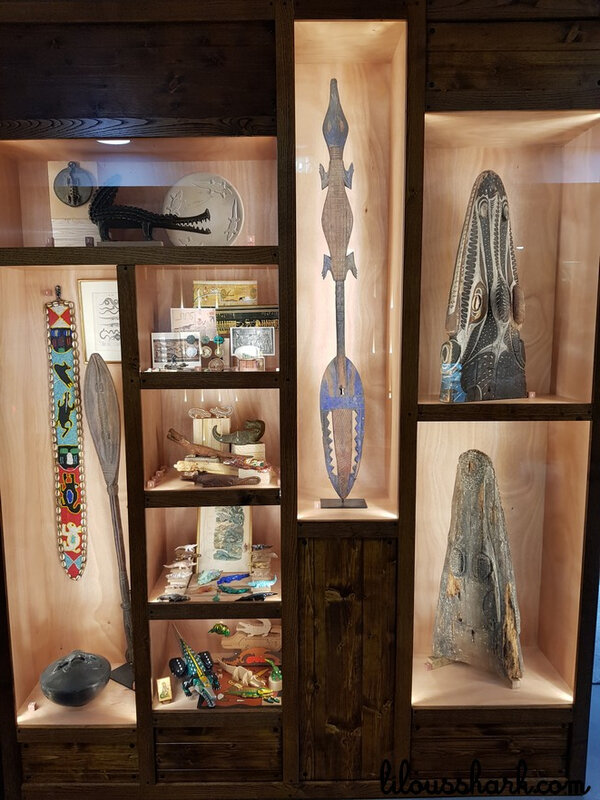 cabinet de curiosité ferme crocodile 3
