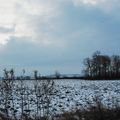 _IGP7851