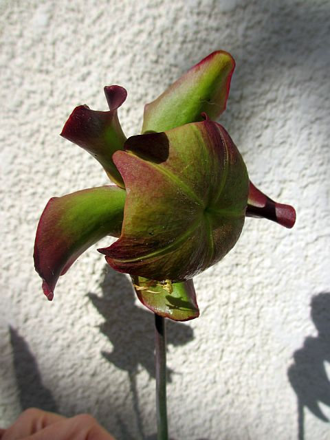 0 13