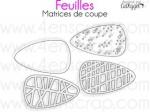 feuilles