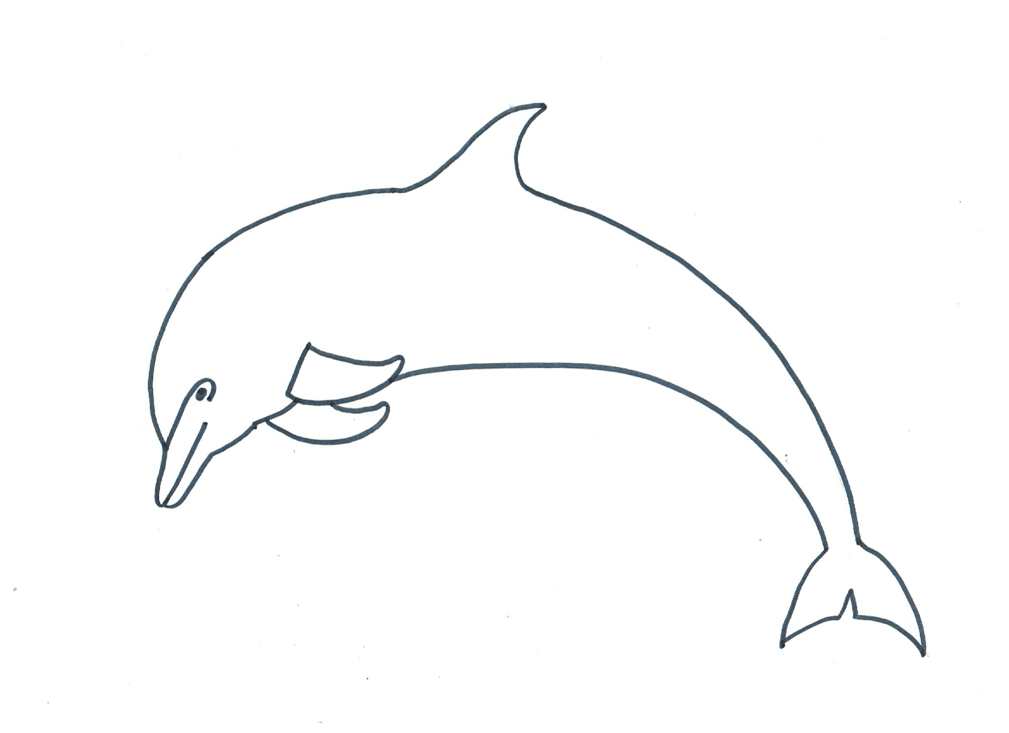 Рисунок дельфина для детей бесцветной
