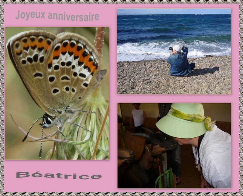 Joyeux Anniversaire Beatrice Le Blog De Mamy France
