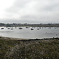P1080817 (103)